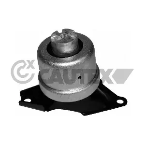 461305 CAUTEX
