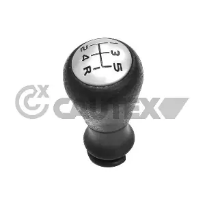 770519 CAUTEX