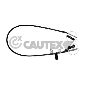069038 CAUTEX
