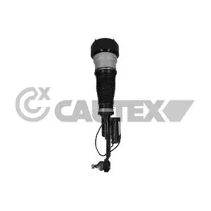 752125 CAUTEX