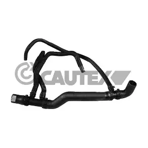 026863 CAUTEX
