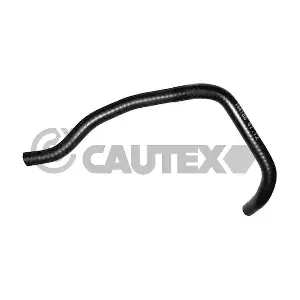 752681 CAUTEX