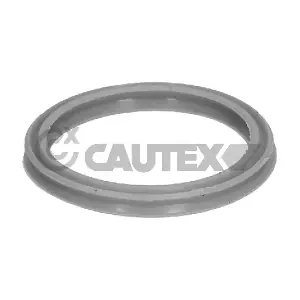 776043 CAUTEX
