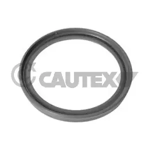 773504 CAUTEX