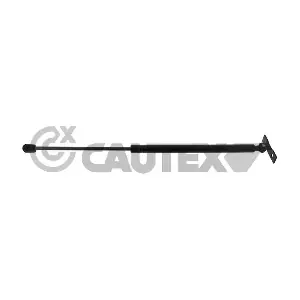772933 CAUTEX