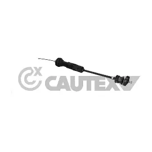 038315 CAUTEX