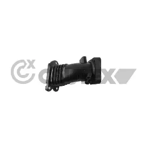 771654 CAUTEX
