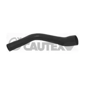 486698 CAUTEX