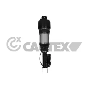 752145 CAUTEX