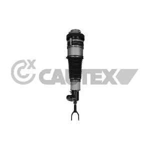 752171 CAUTEX