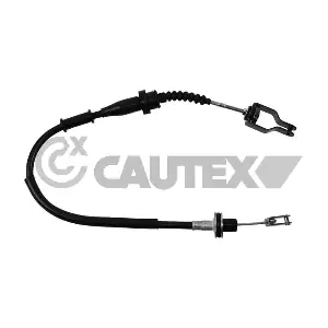 069011 CAUTEX