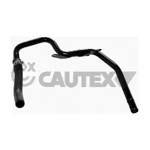 955472 CAUTEX