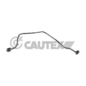 757688 CAUTEX