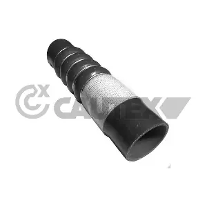752979 CAUTEX