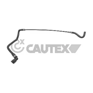 754365 CAUTEX