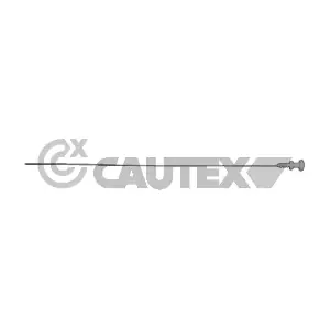 031096 CAUTEX