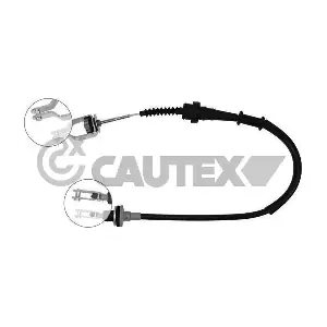 069016 CAUTEX