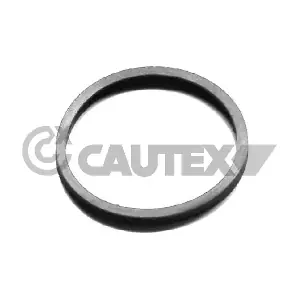 954208 CAUTEX