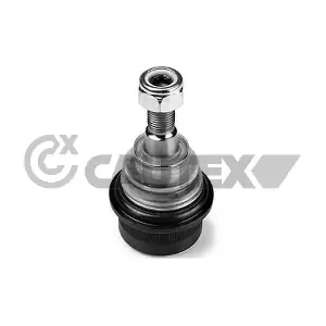 755015 CAUTEX