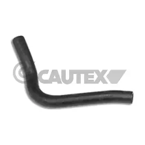 036452 CAUTEX