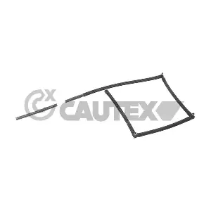 757249 CAUTEX