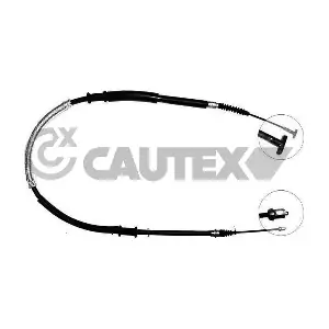 761656 CAUTEX