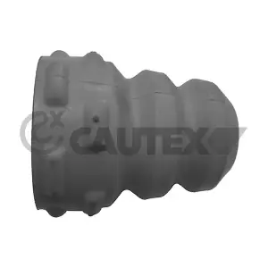 462439 CAUTEX