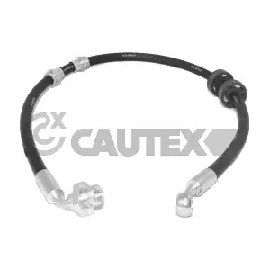 756188 CAUTEX