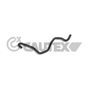 026584 CAUTEX