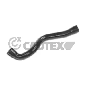 021191 CAUTEX