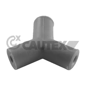 955210 CAUTEX