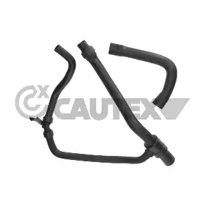 031134 CAUTEX