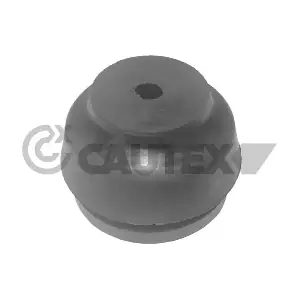 100006 CAUTEX