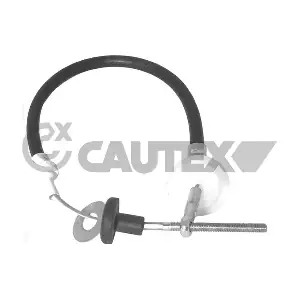 013337 CAUTEX