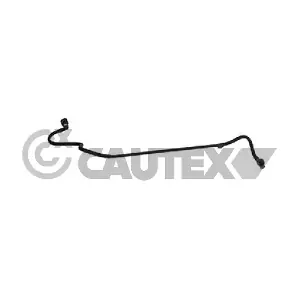 772306 CAUTEX