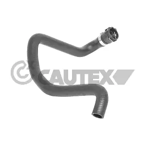 466790 CAUTEX