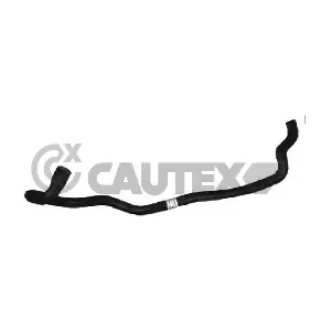 036158 CAUTEX