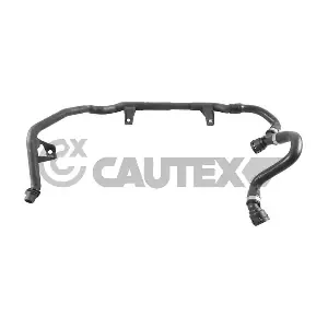 765540 CAUTEX