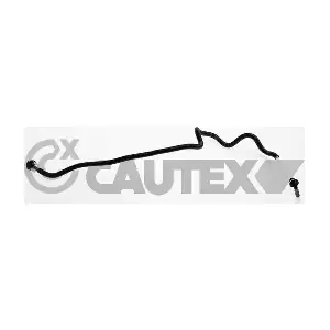 771339 CAUTEX