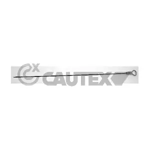 461106 CAUTEX