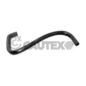 036449 CAUTEX