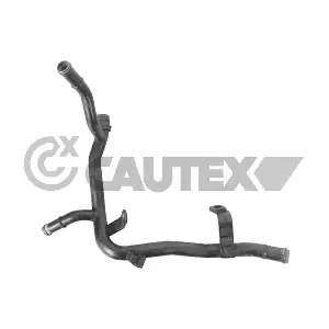769747 CAUTEX
