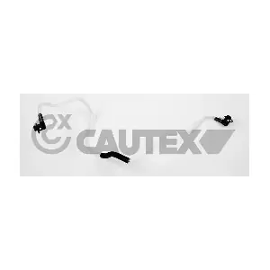 770387 CAUTEX