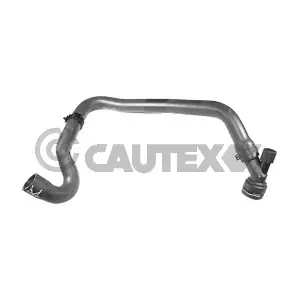 466788 CAUTEX
