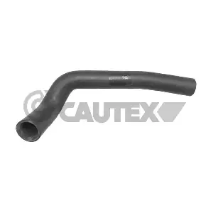 036109 CAUTEX