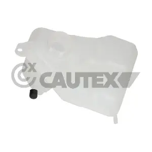 954242 CAUTEX