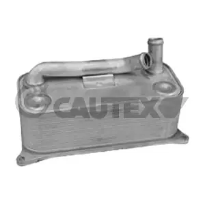 768819 CAUTEX