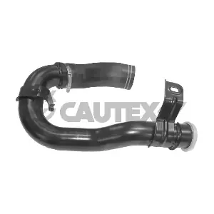 754425 CAUTEX