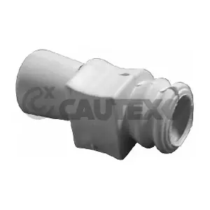 030314 CAUTEX