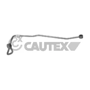 774496 CAUTEX